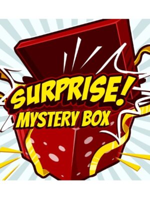 SURPRISE MYSTERY BOX